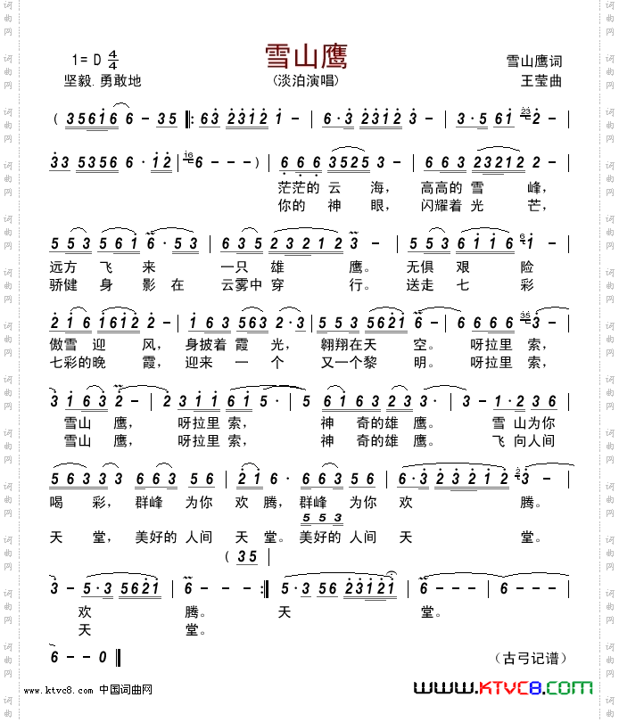 雪山鹰