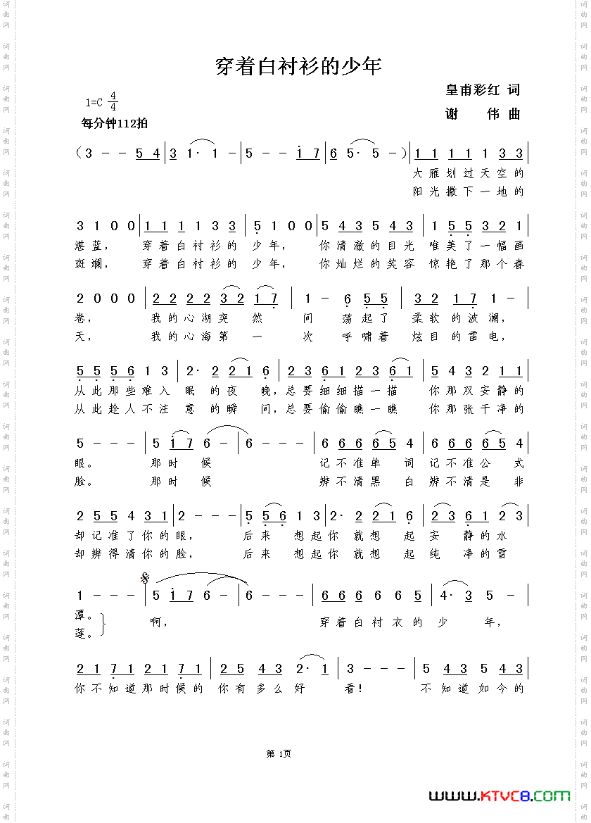 穿着白衬衫的少年