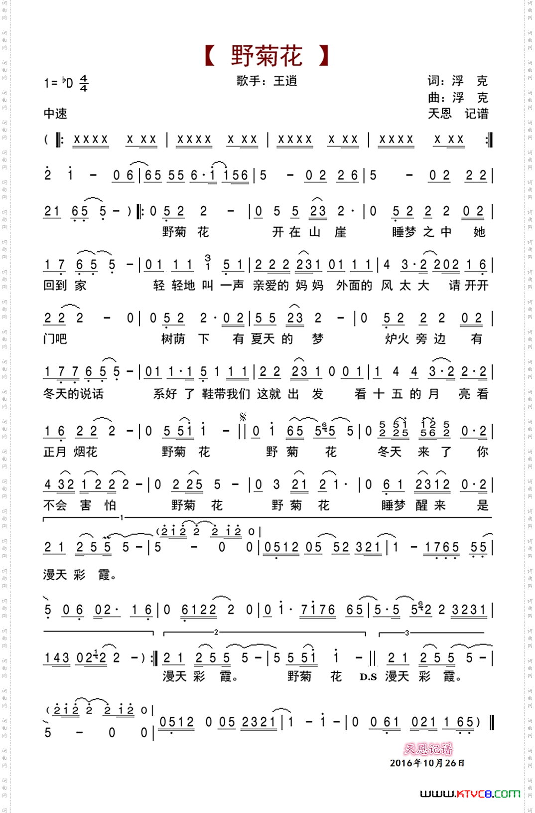 野菊花