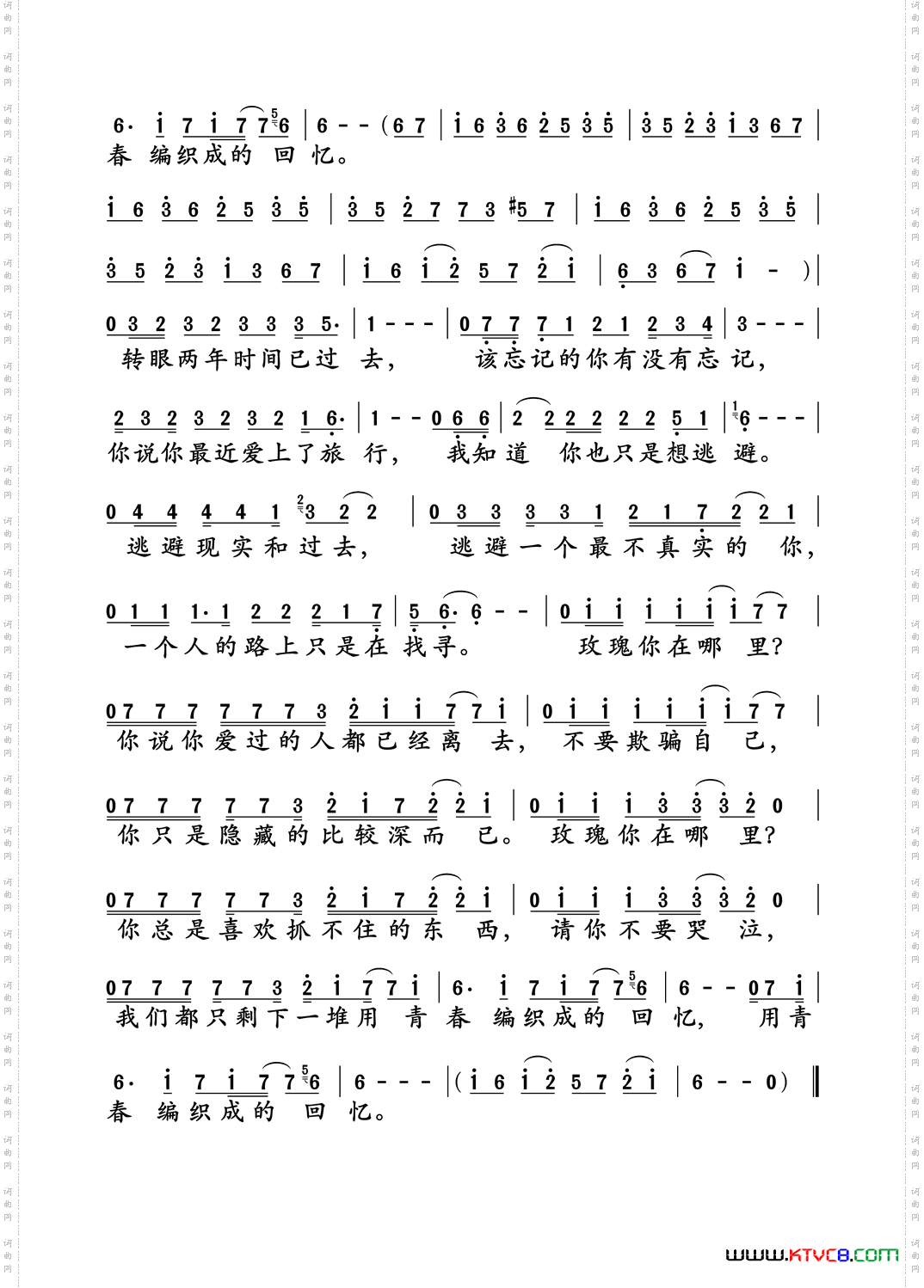 玫瑰