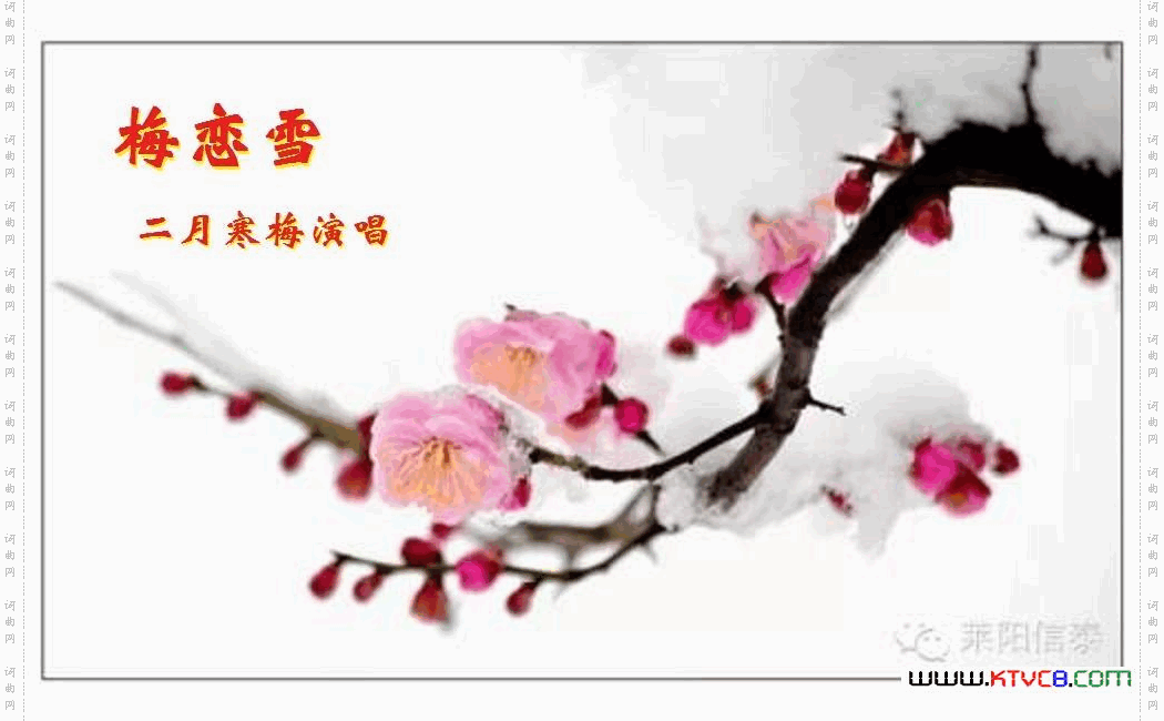 梅恋雪