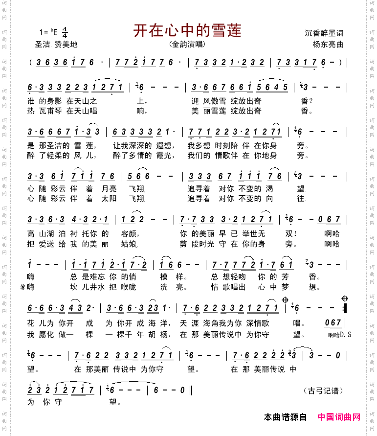开在心中的雪莲