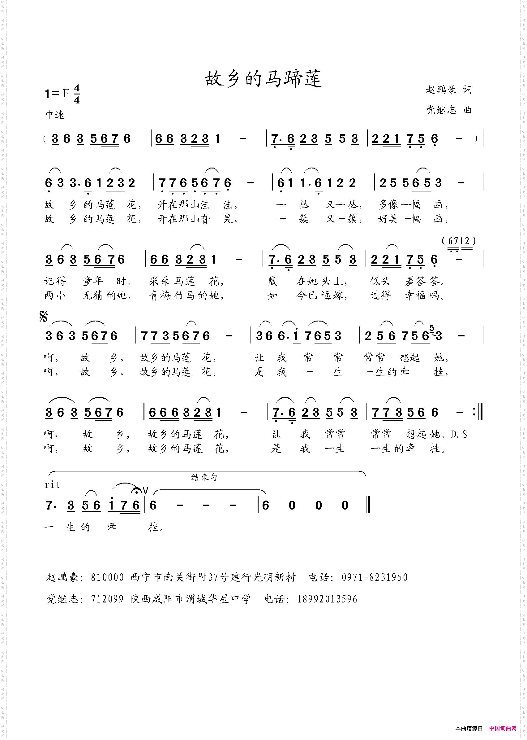 故乡的马蹄莲