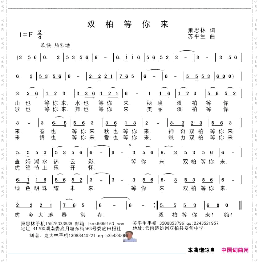 双柏等你来