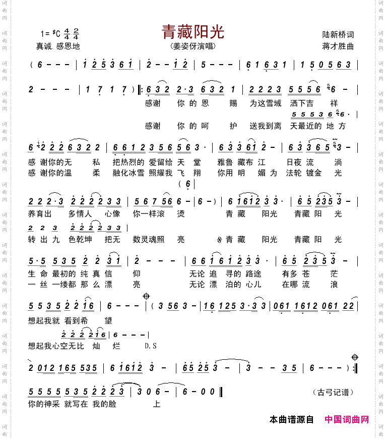 青藏阳光姜姿伢