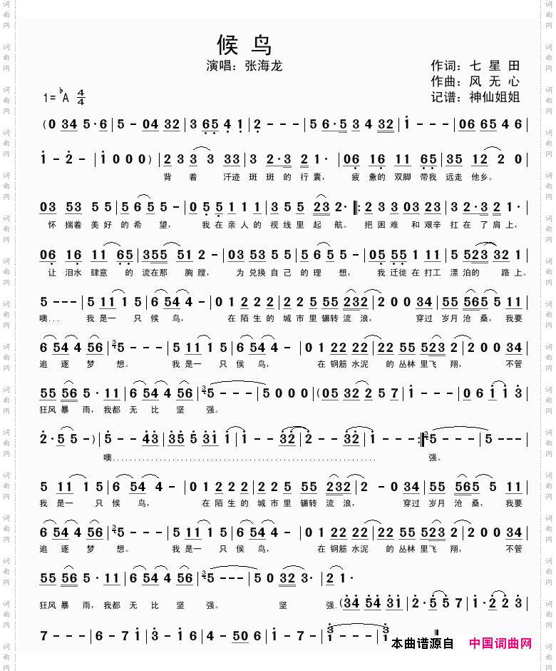 候鸟