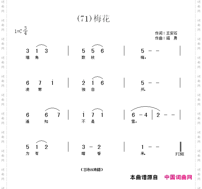 梅花墙角树枝梅