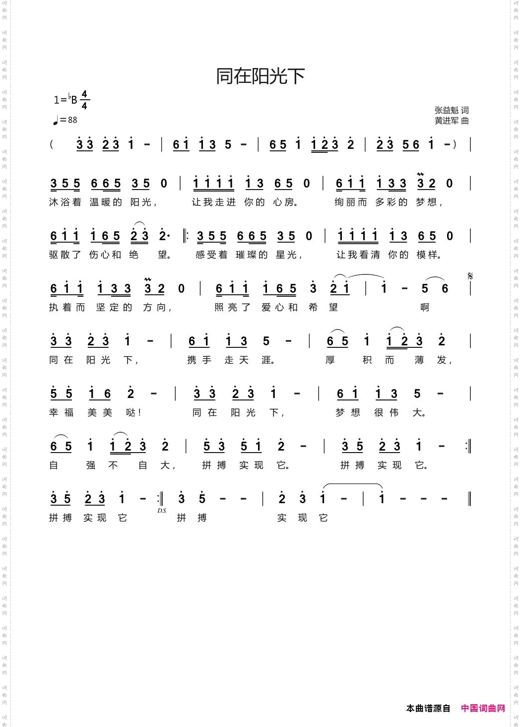 同在阳光下