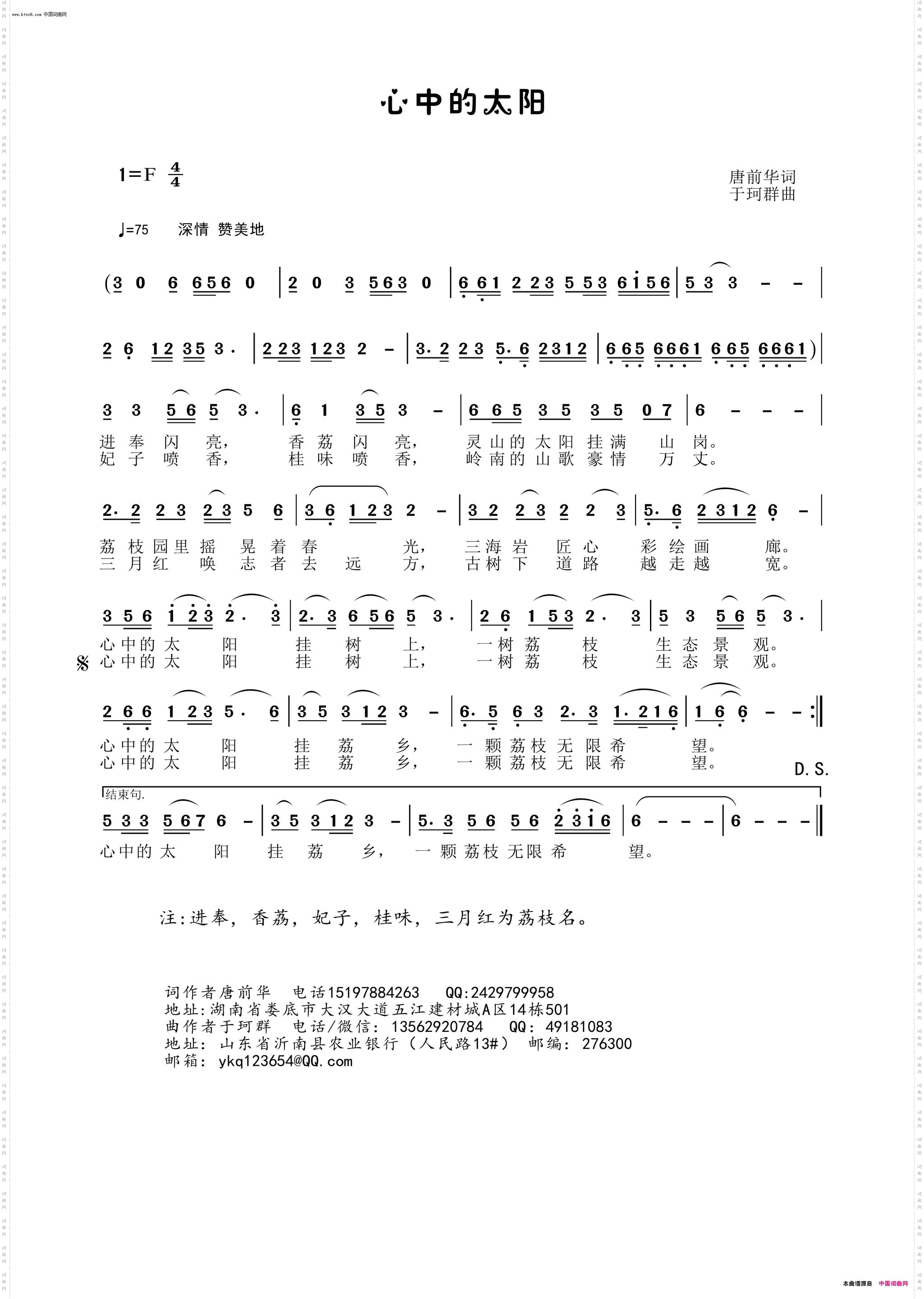 心中的太阳