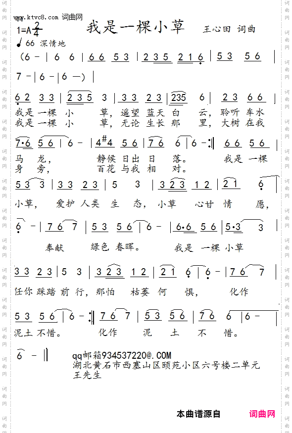 我是一棵小草