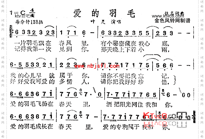 爱的羽毛