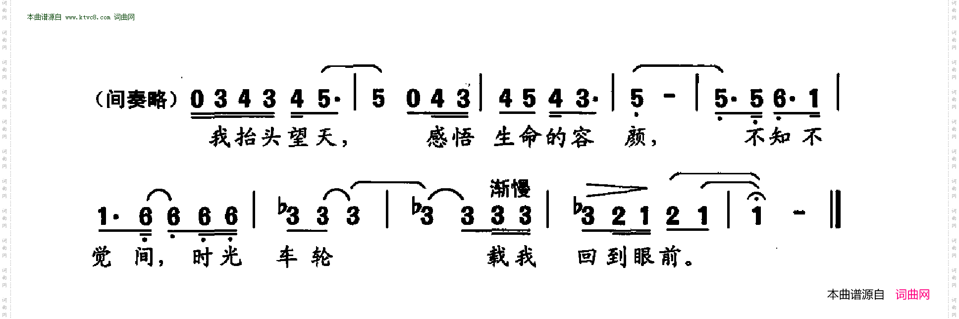 年轮
