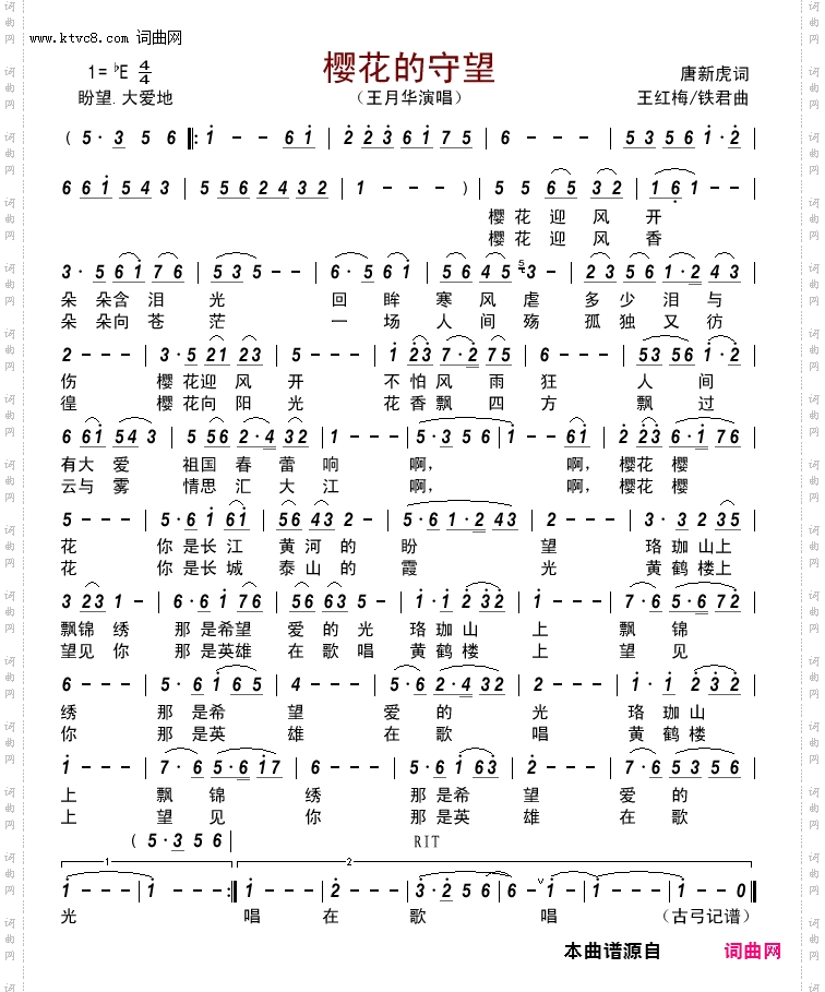 樱花的守望