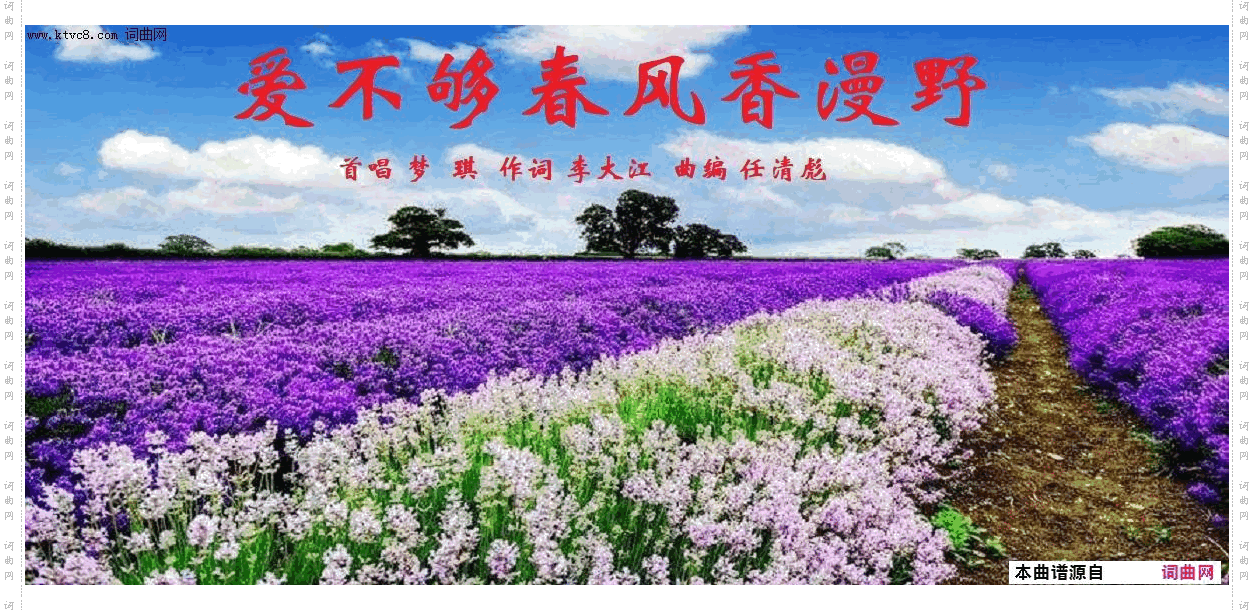 爱不够春风香漫野_任清彪作曲