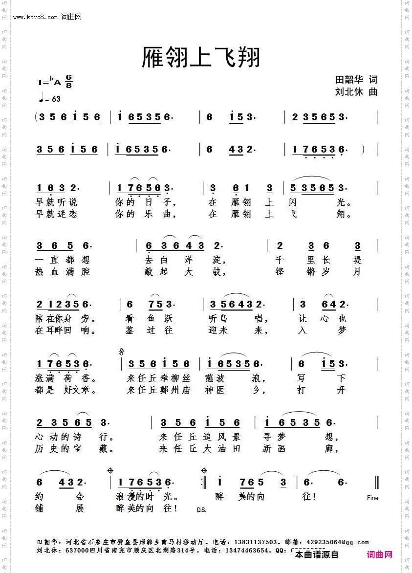 雁翎上飞翔
