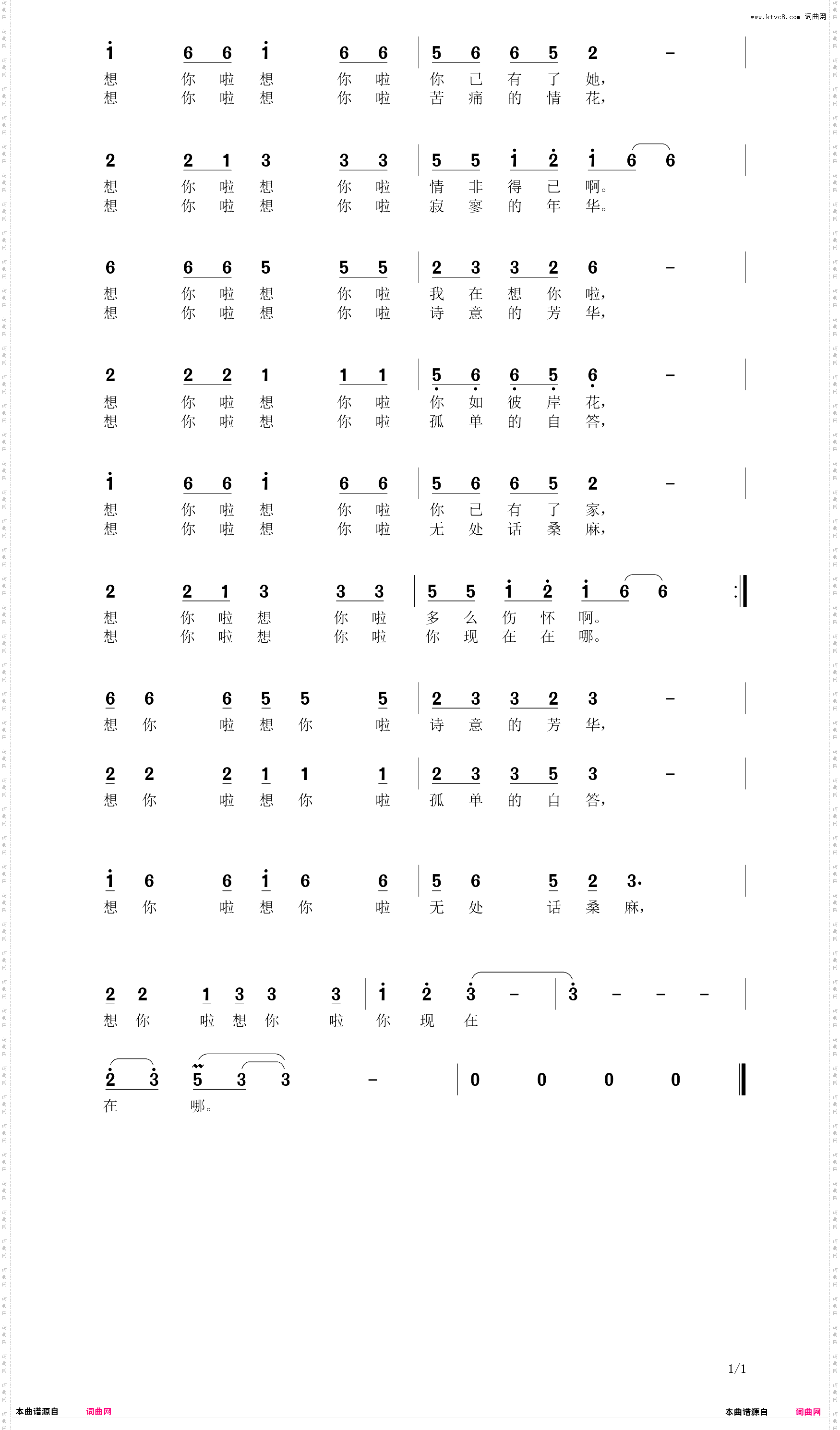 我又想你啦