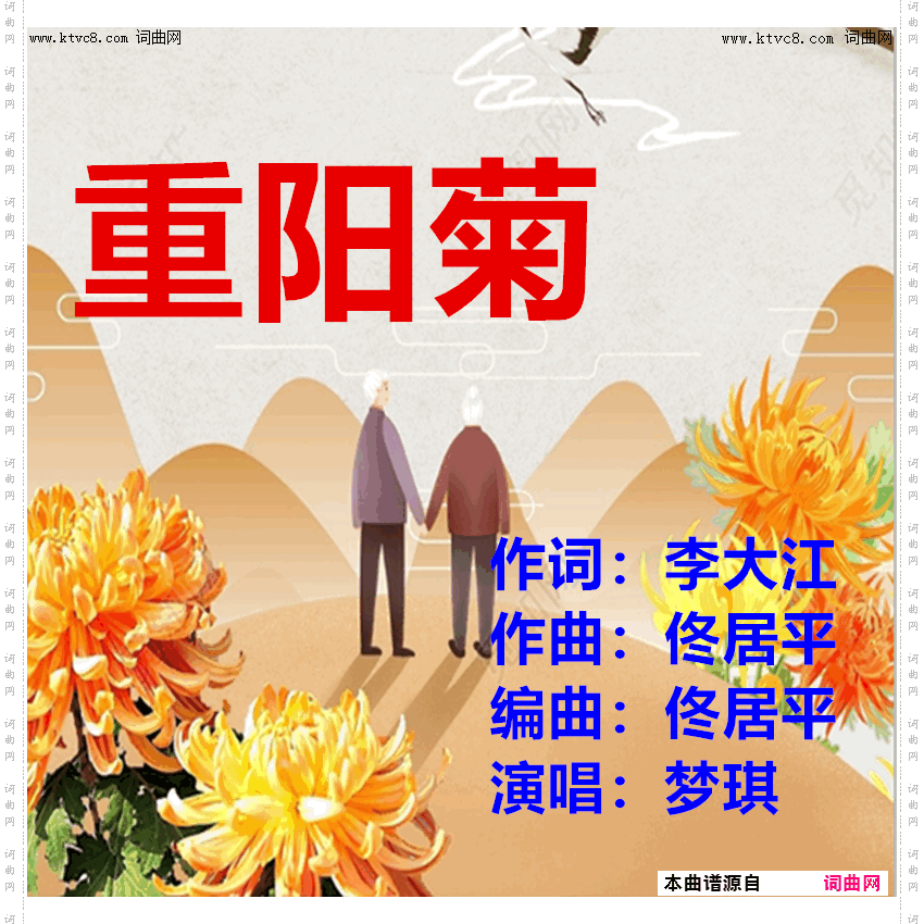 重阳菊
