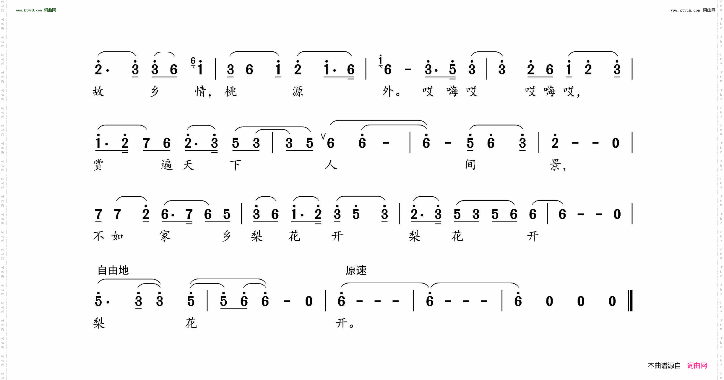 梨花开