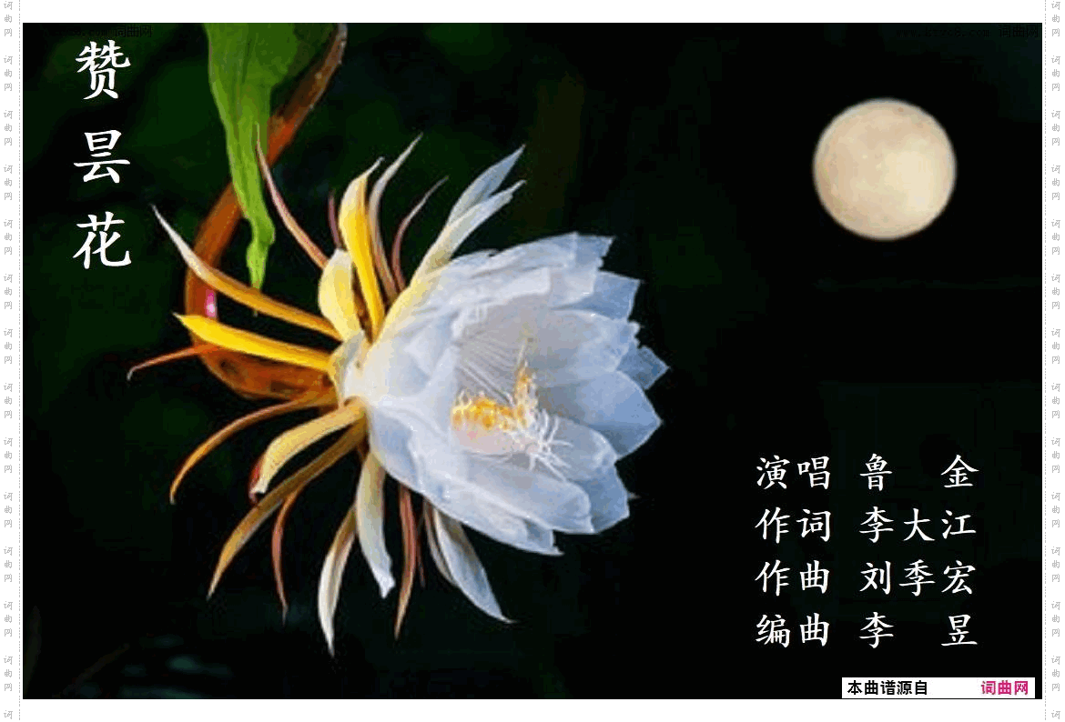 昙花赞_鲁金唱 刘季宏曲 李昱编曲
