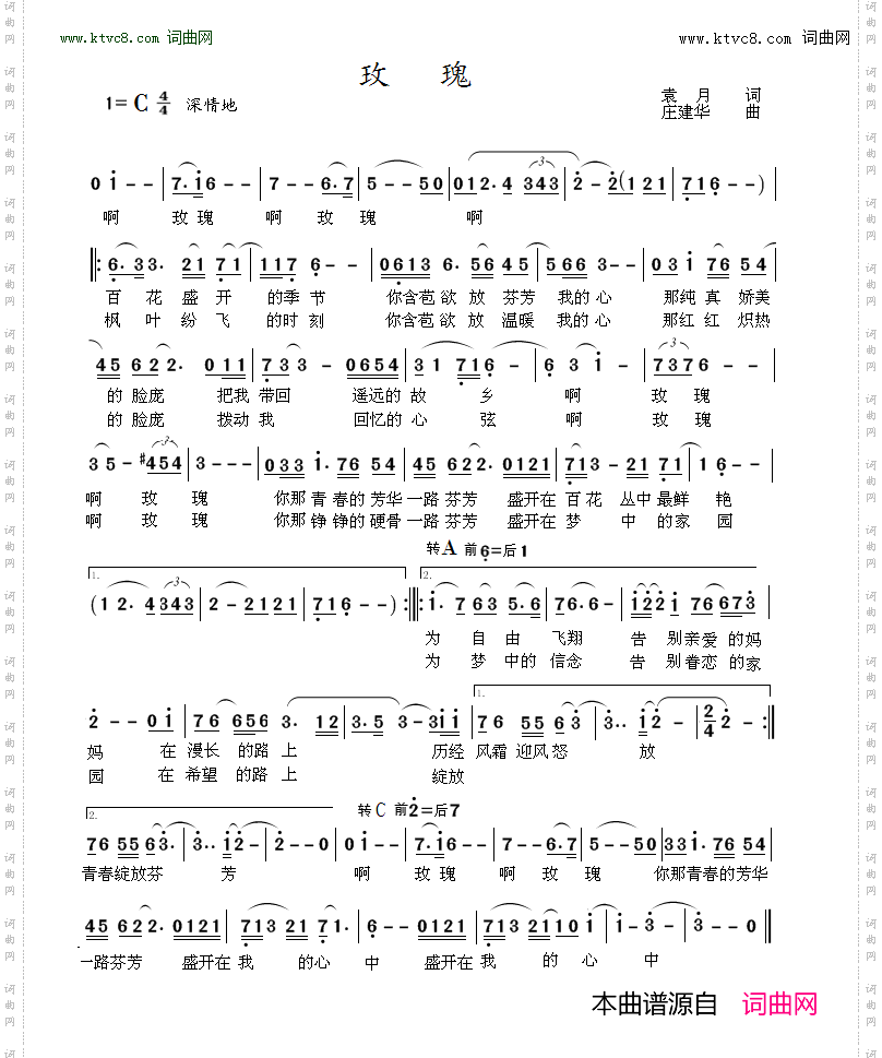 玫瑰