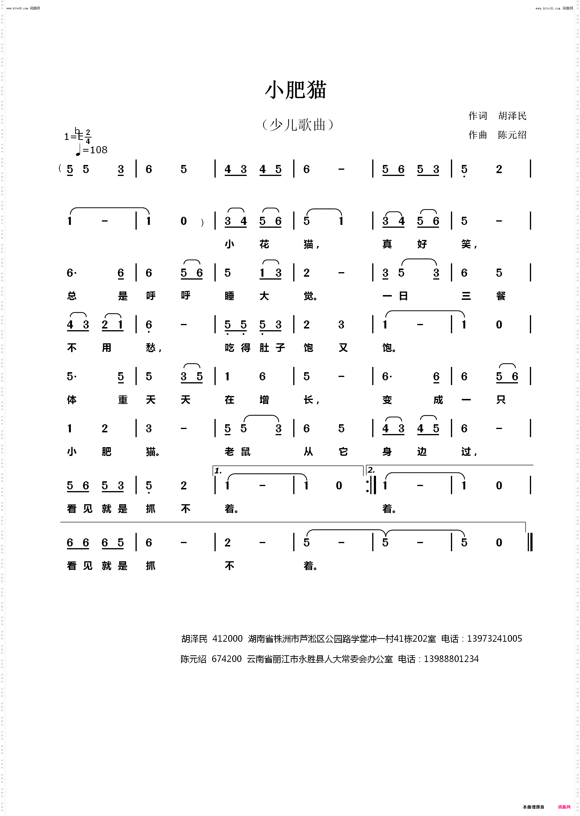 小肥猫