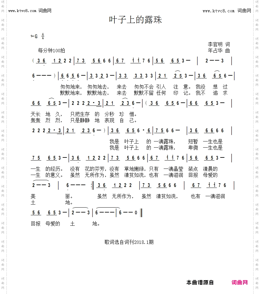 叶子上的露珠