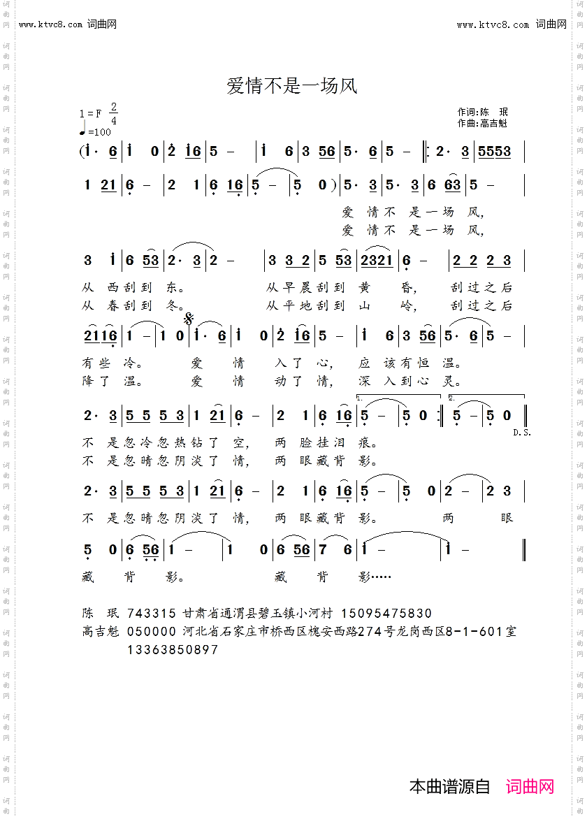 爱情不是一阵风