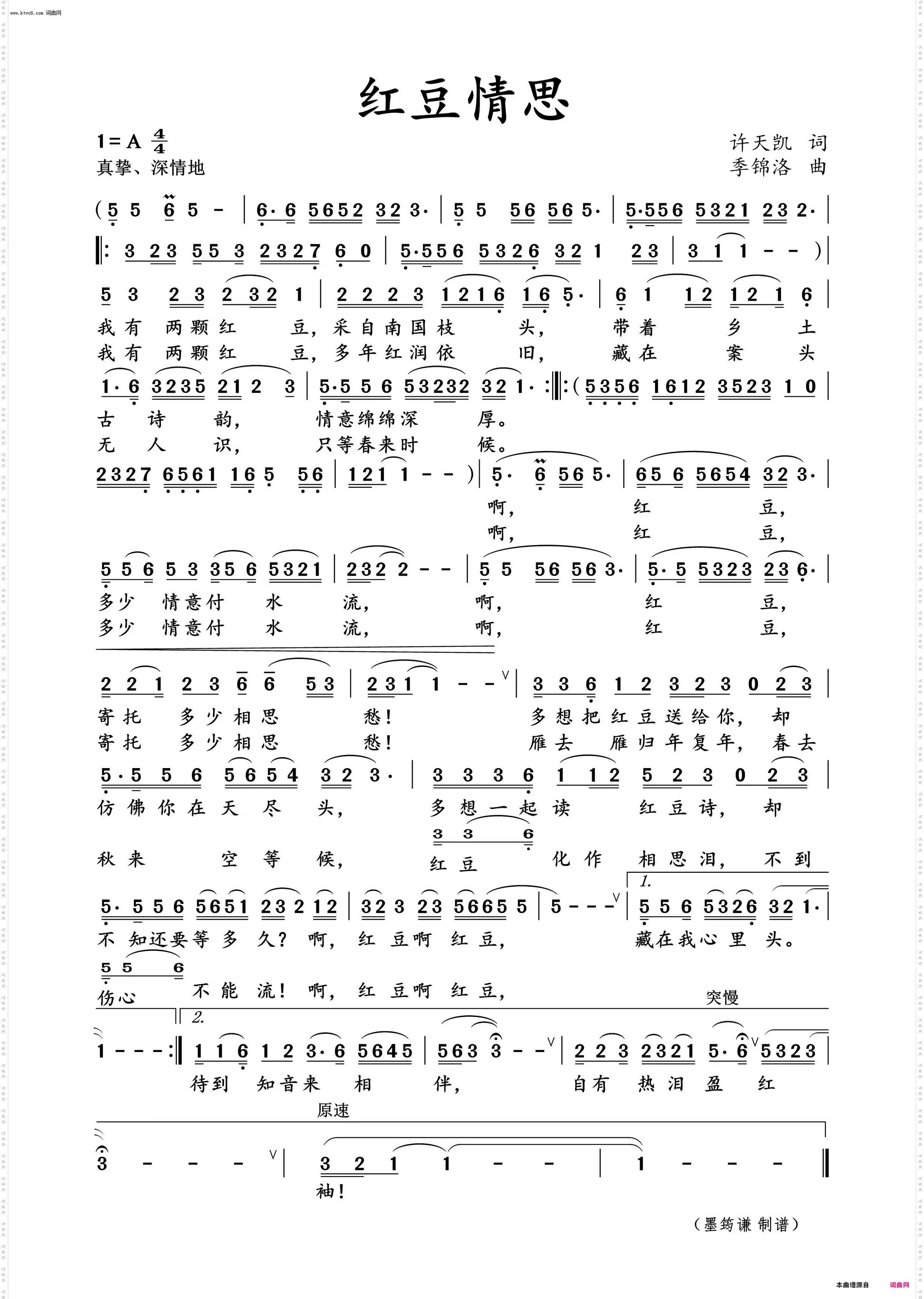 红豆情思