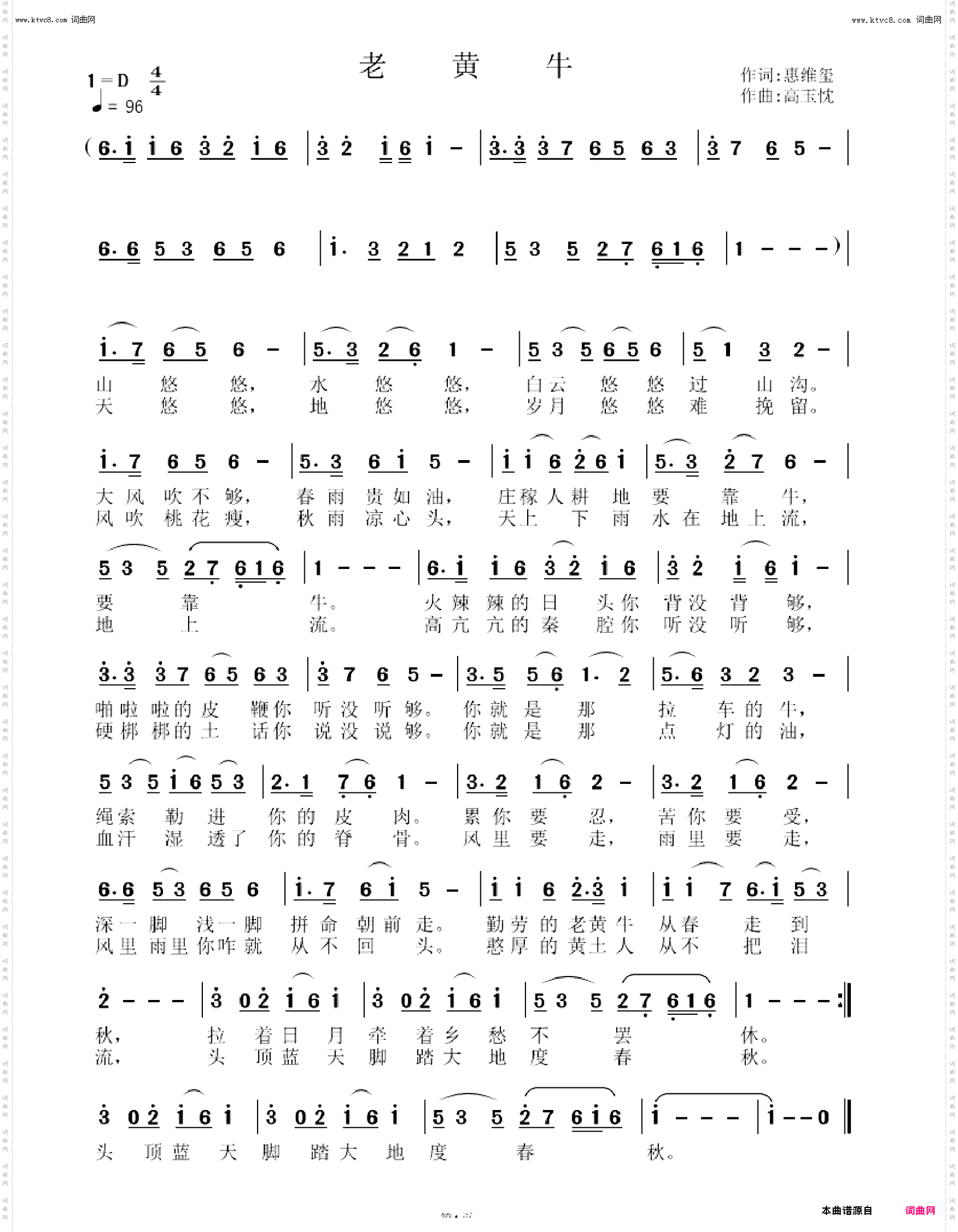 老黄牛
