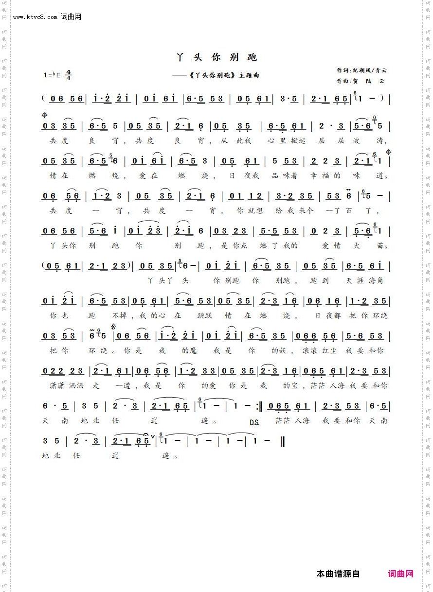 丫头你别跑