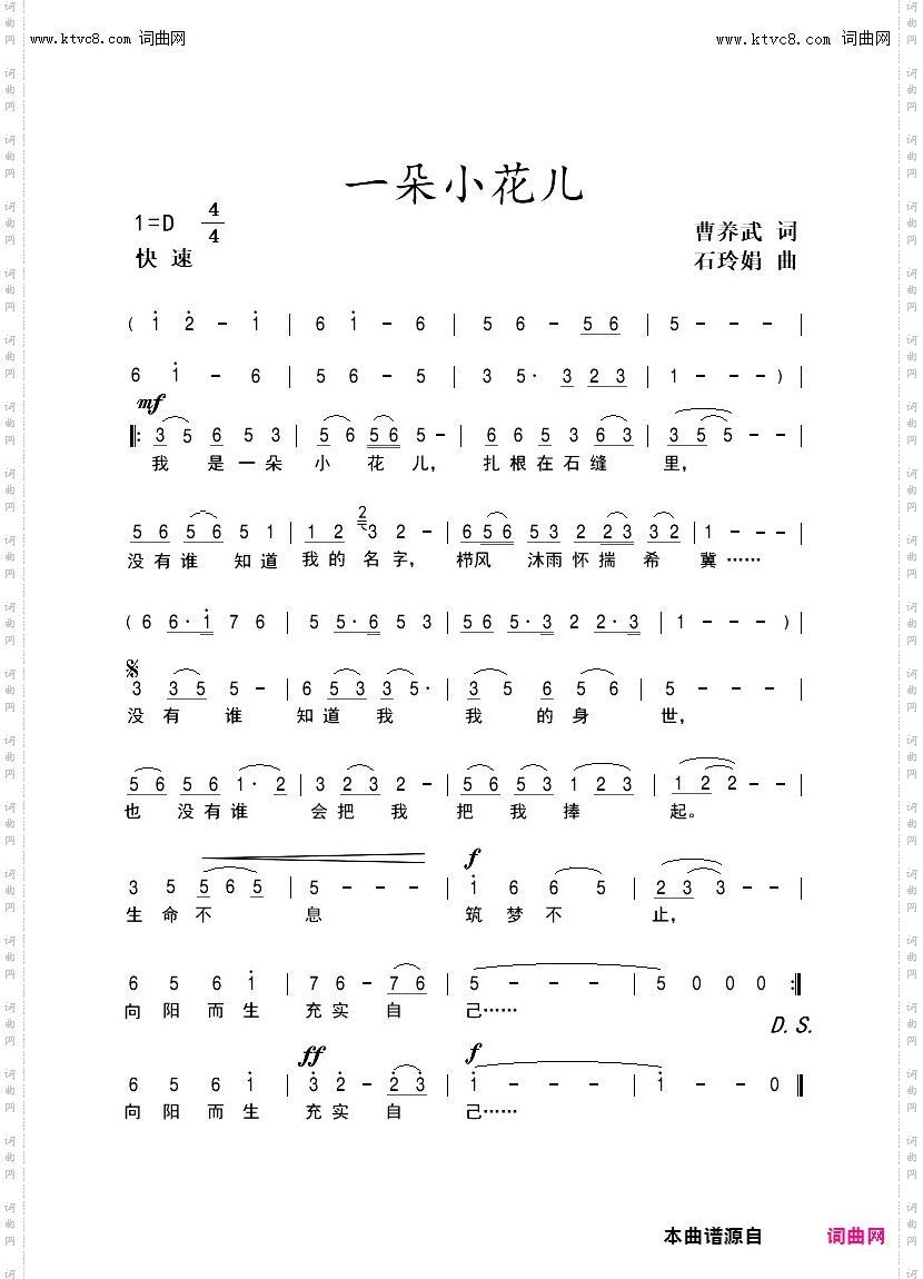 一朵小花儿