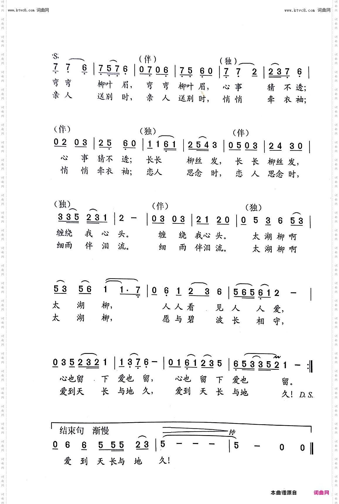 太湖柳