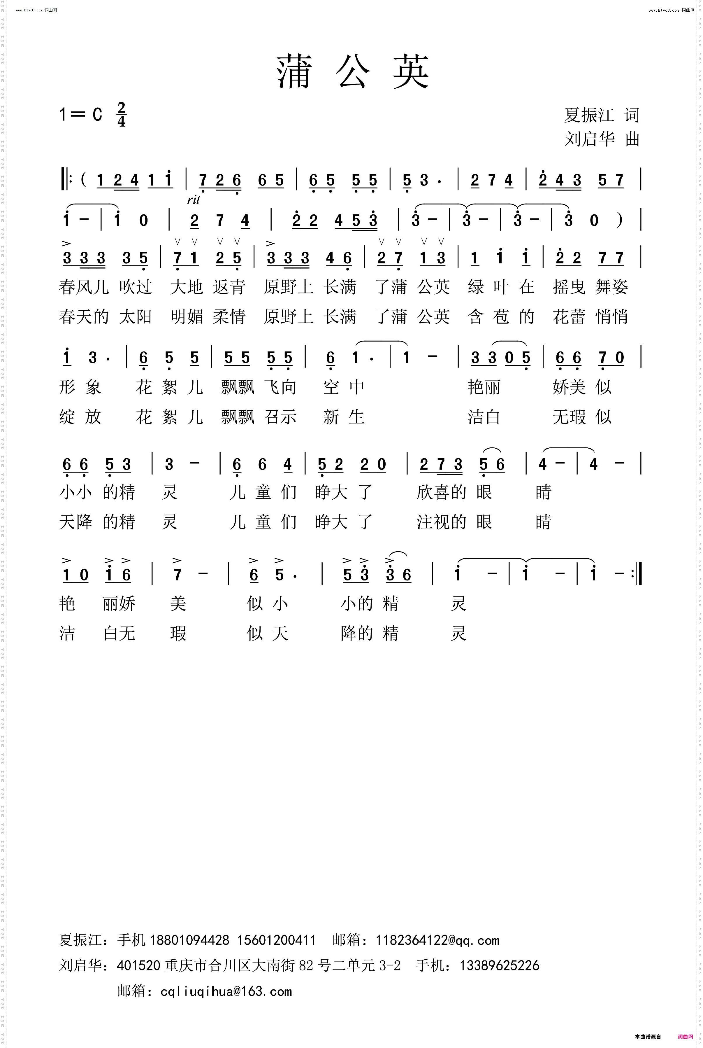 蒲公英
