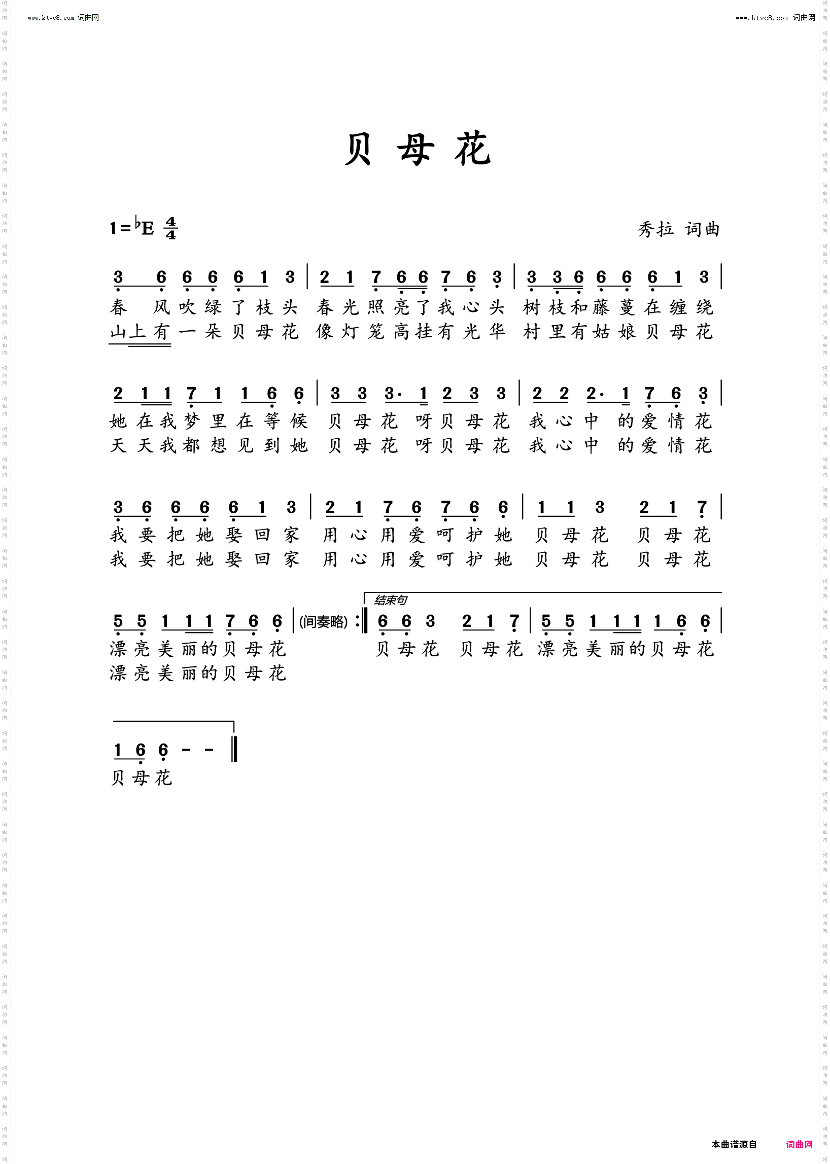 贝母花