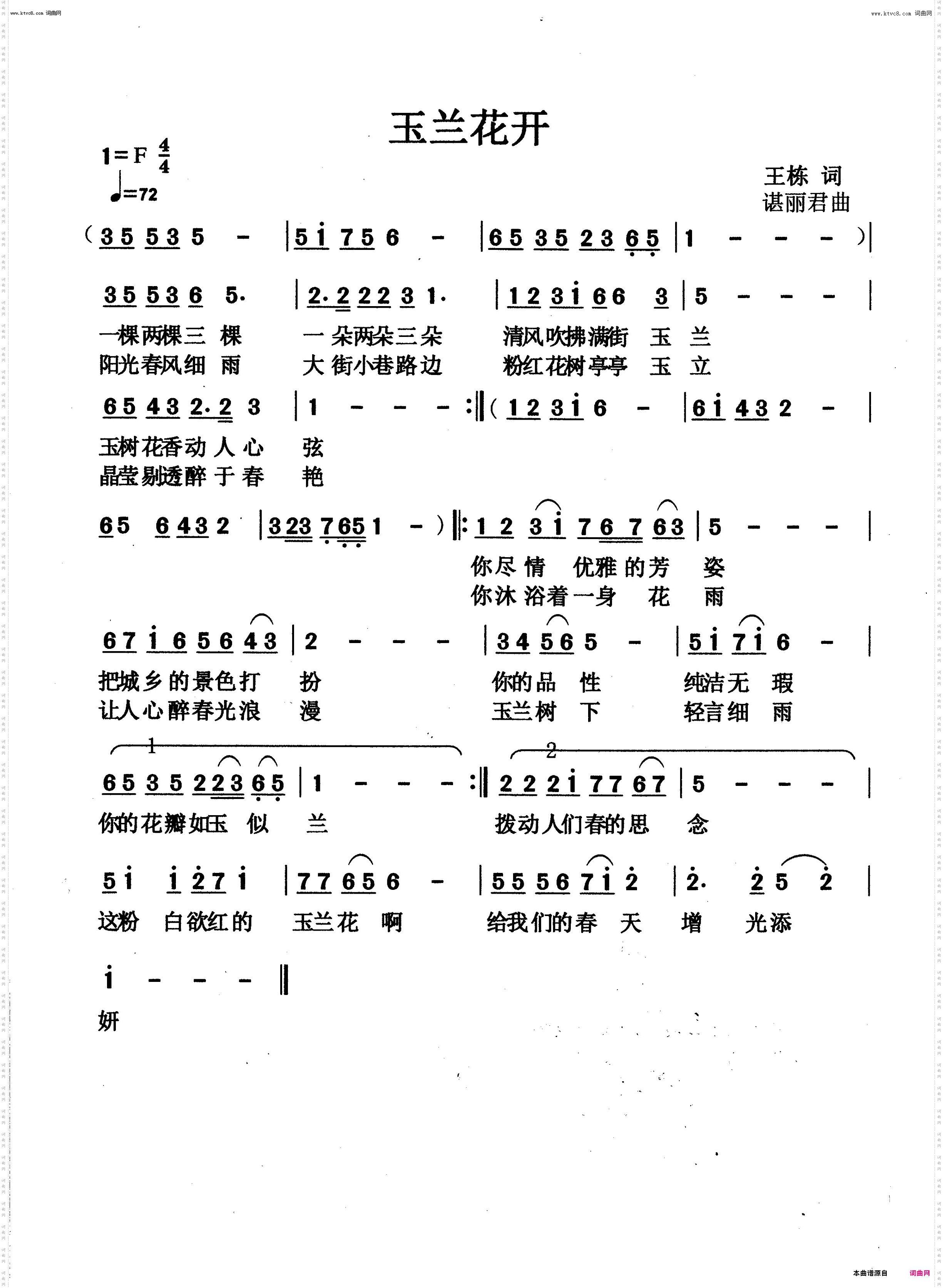 玉兰花开