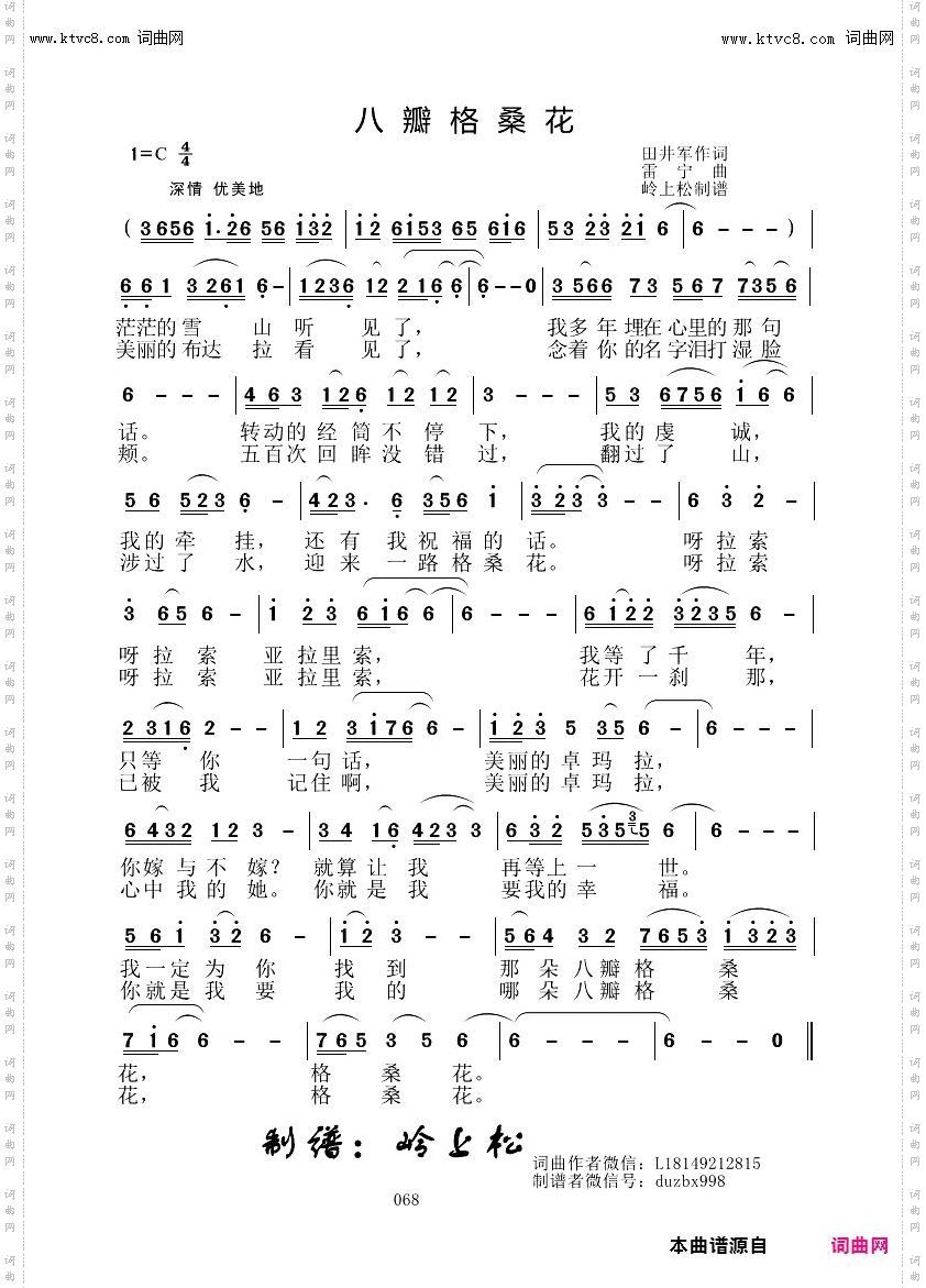 八瓣格桑花