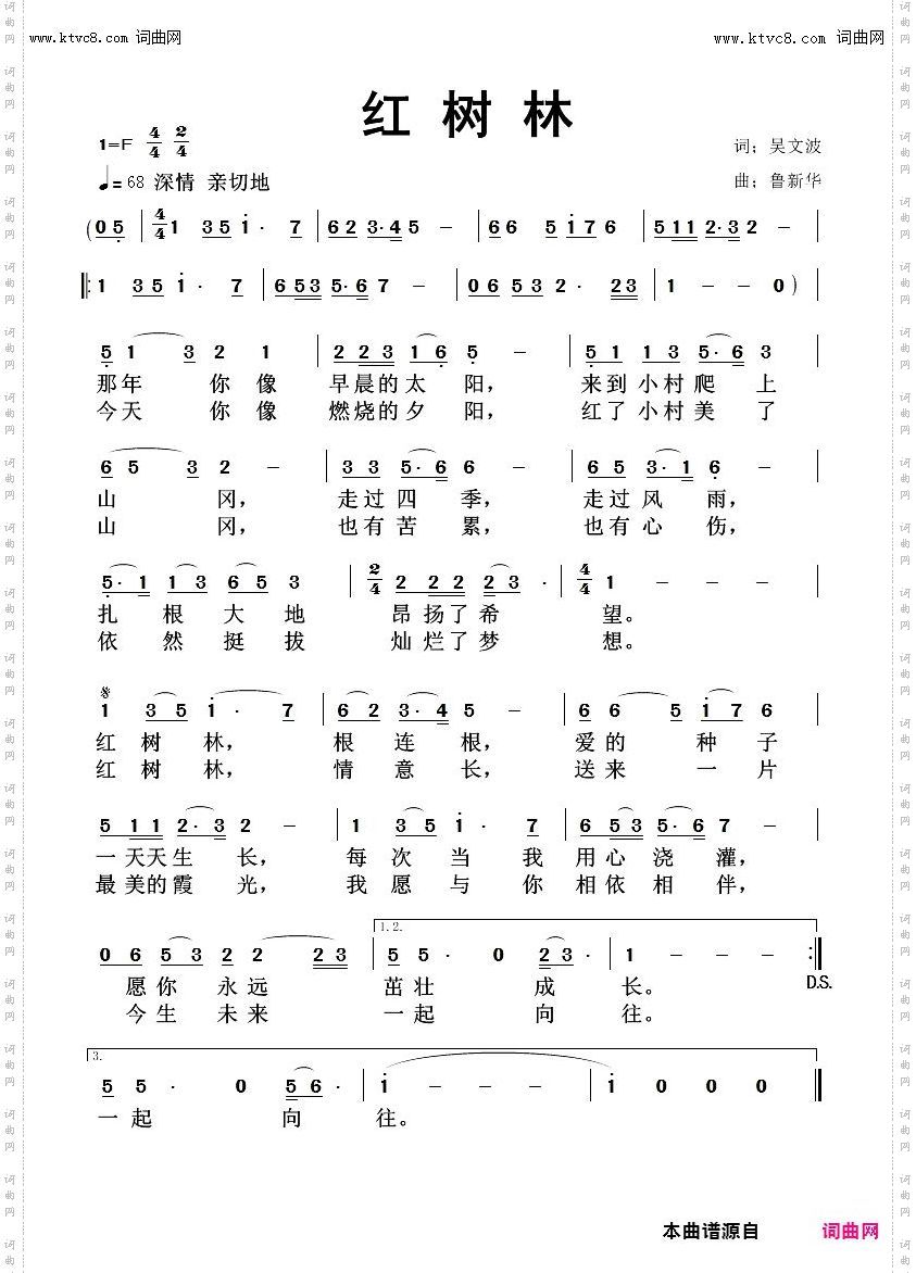 红树林