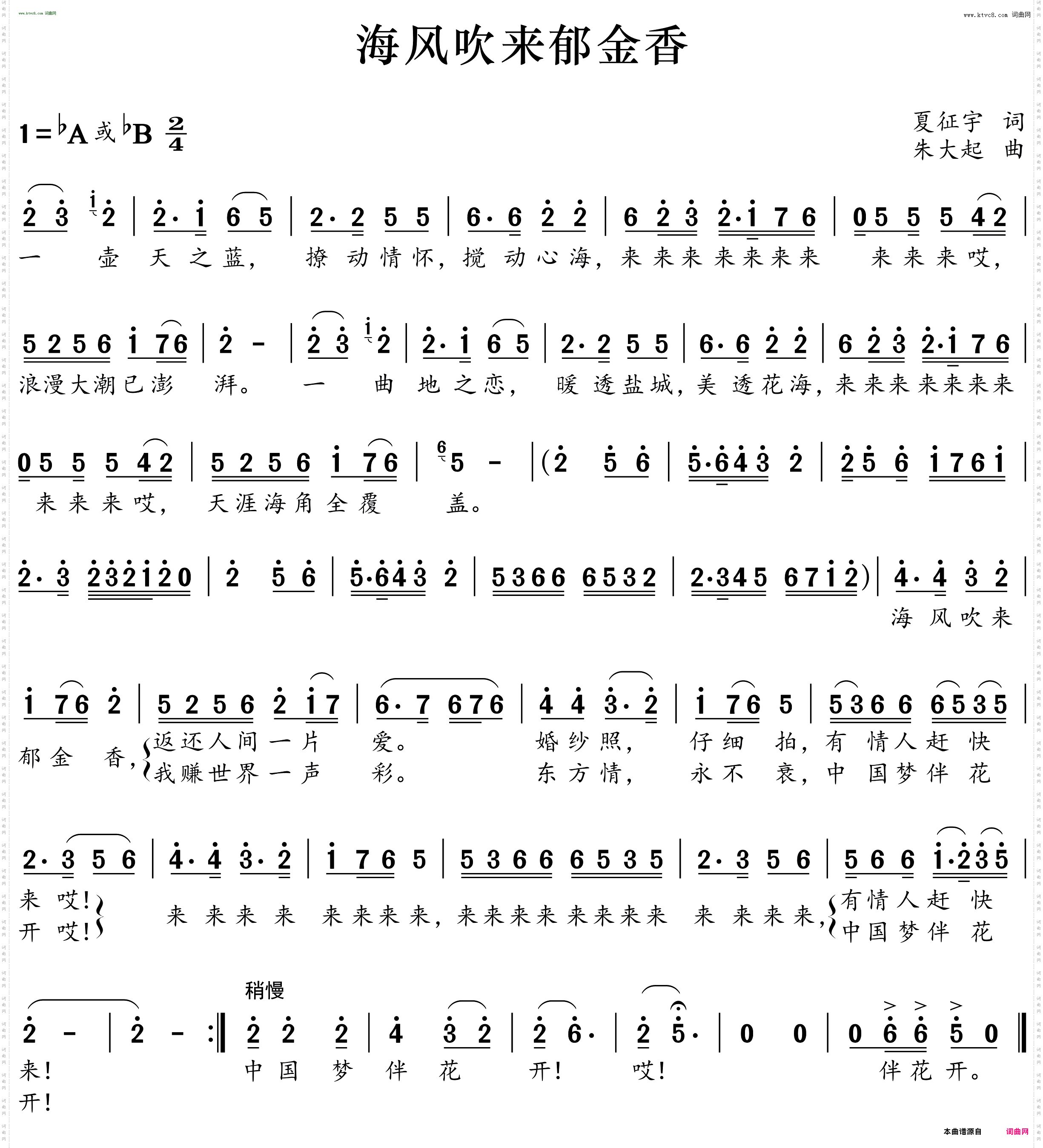 海风吹来郁金香