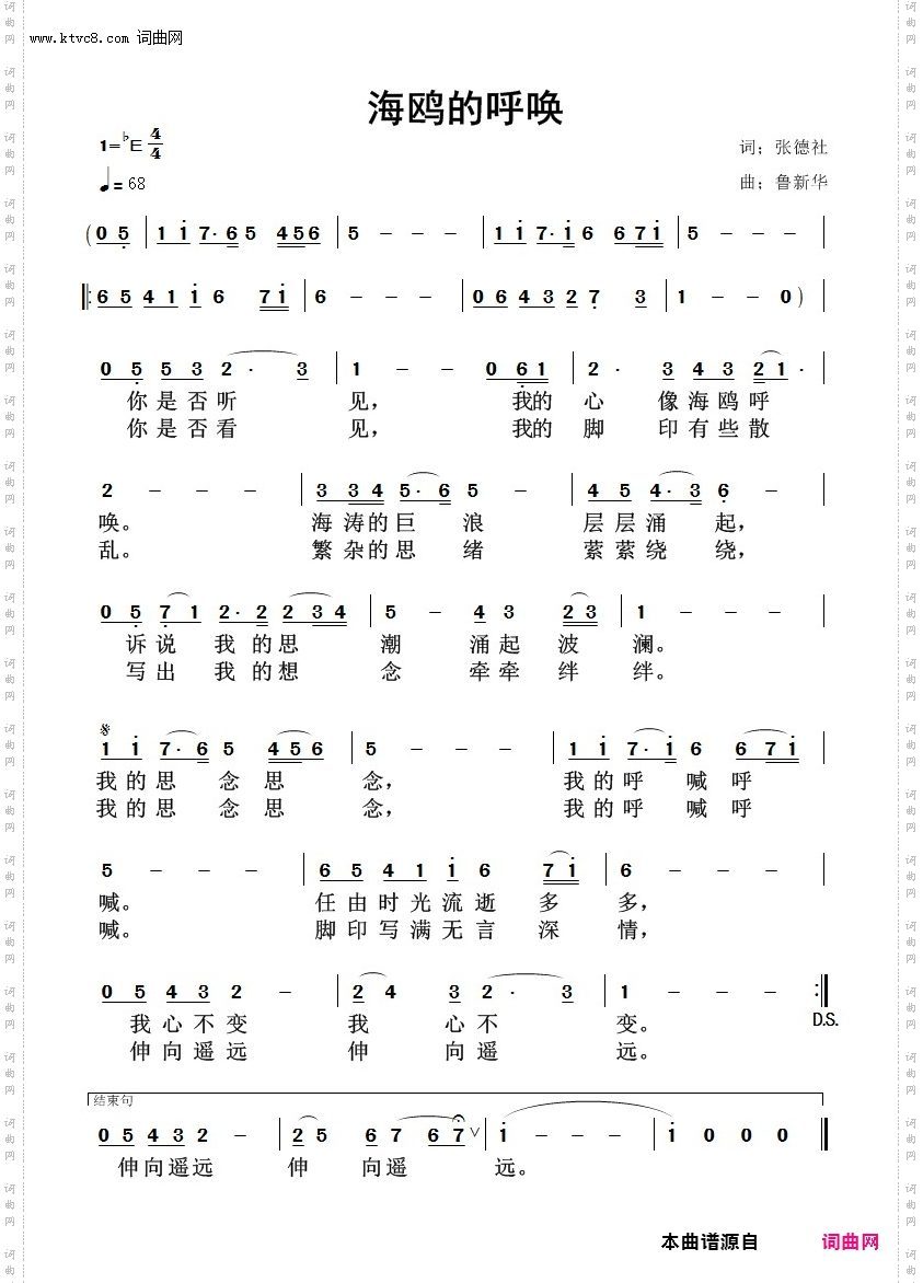 海鸥的呼唤