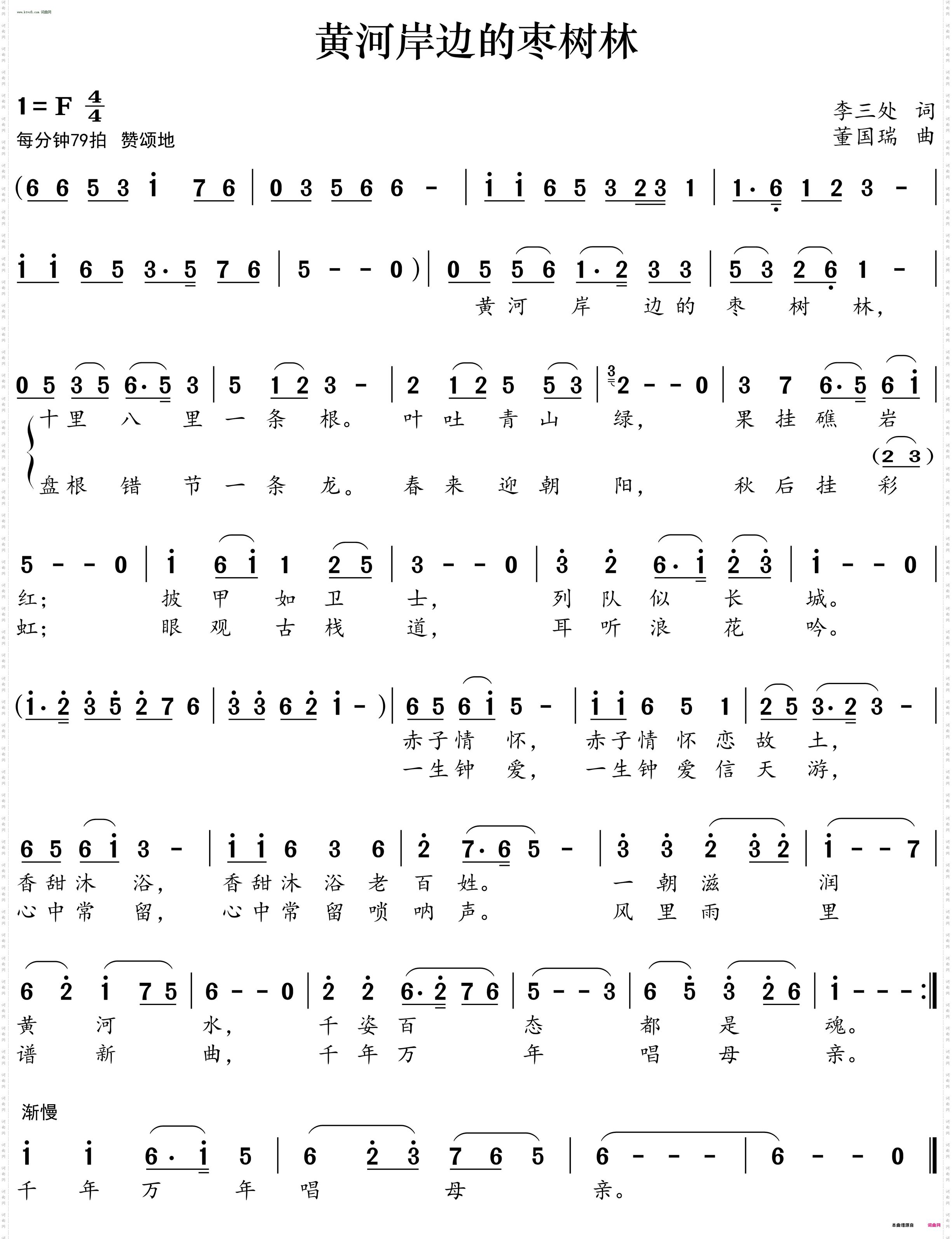 黄河岸边的枣树林