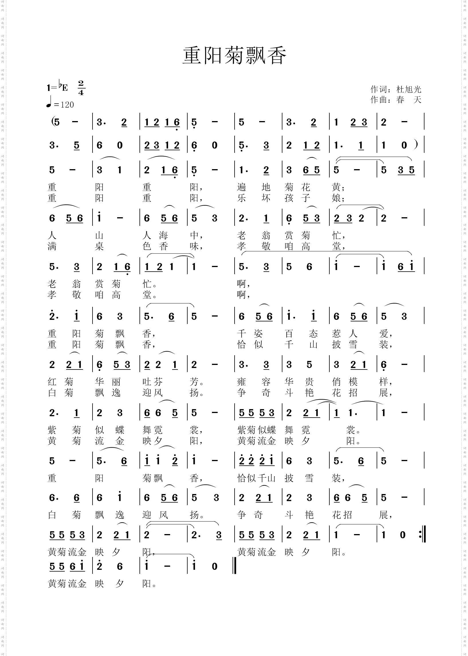 重阳菊飘香