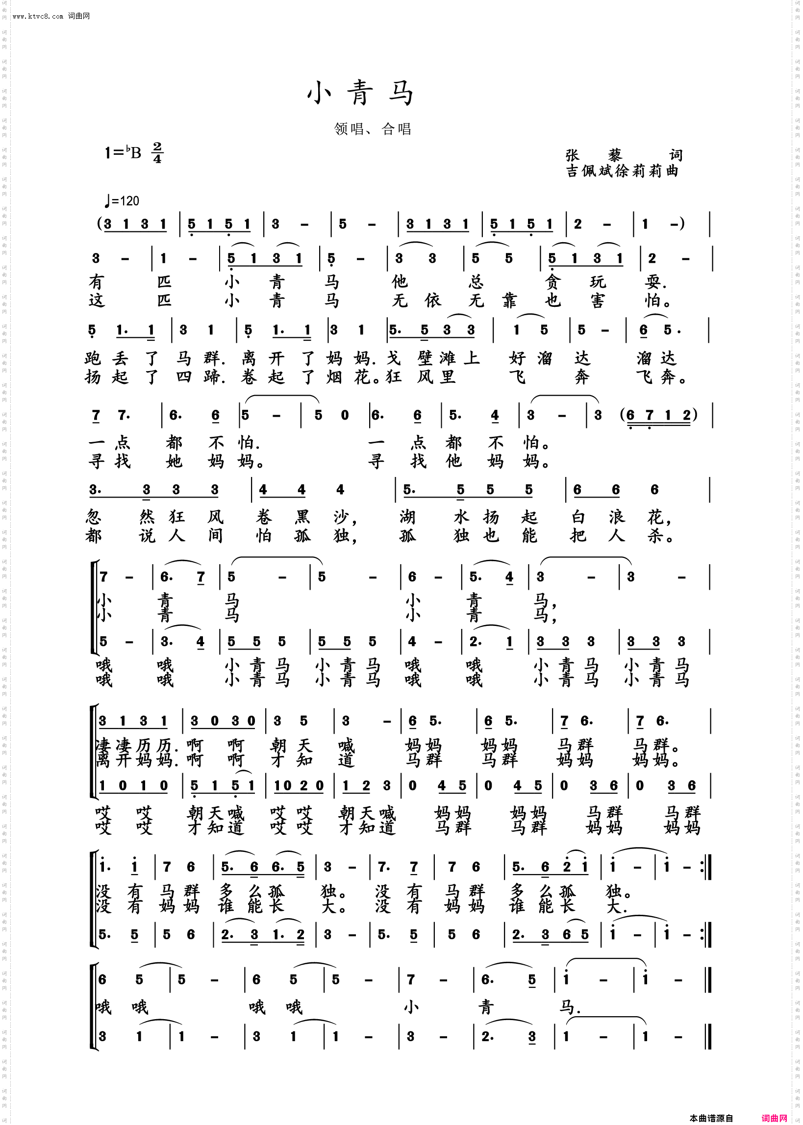 小青马