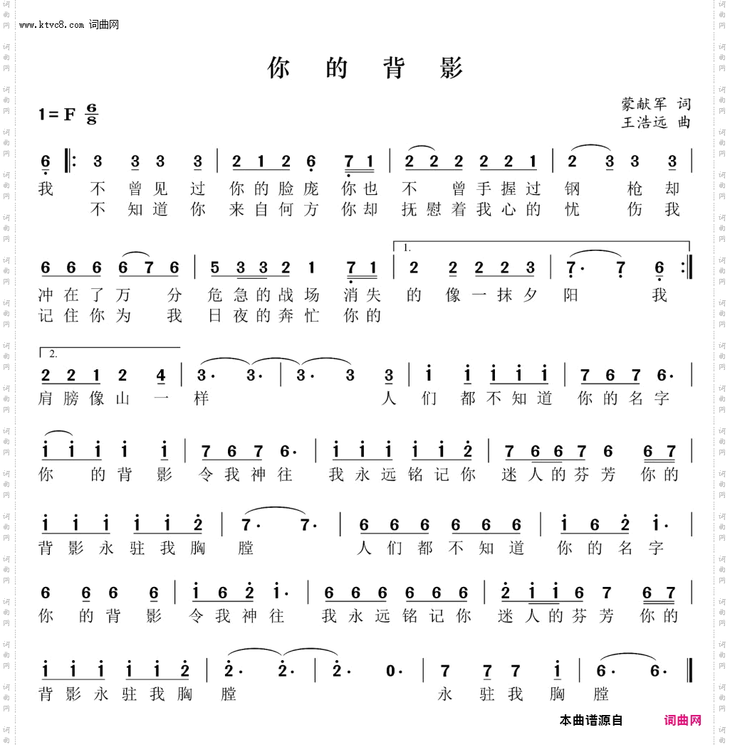 你的背影