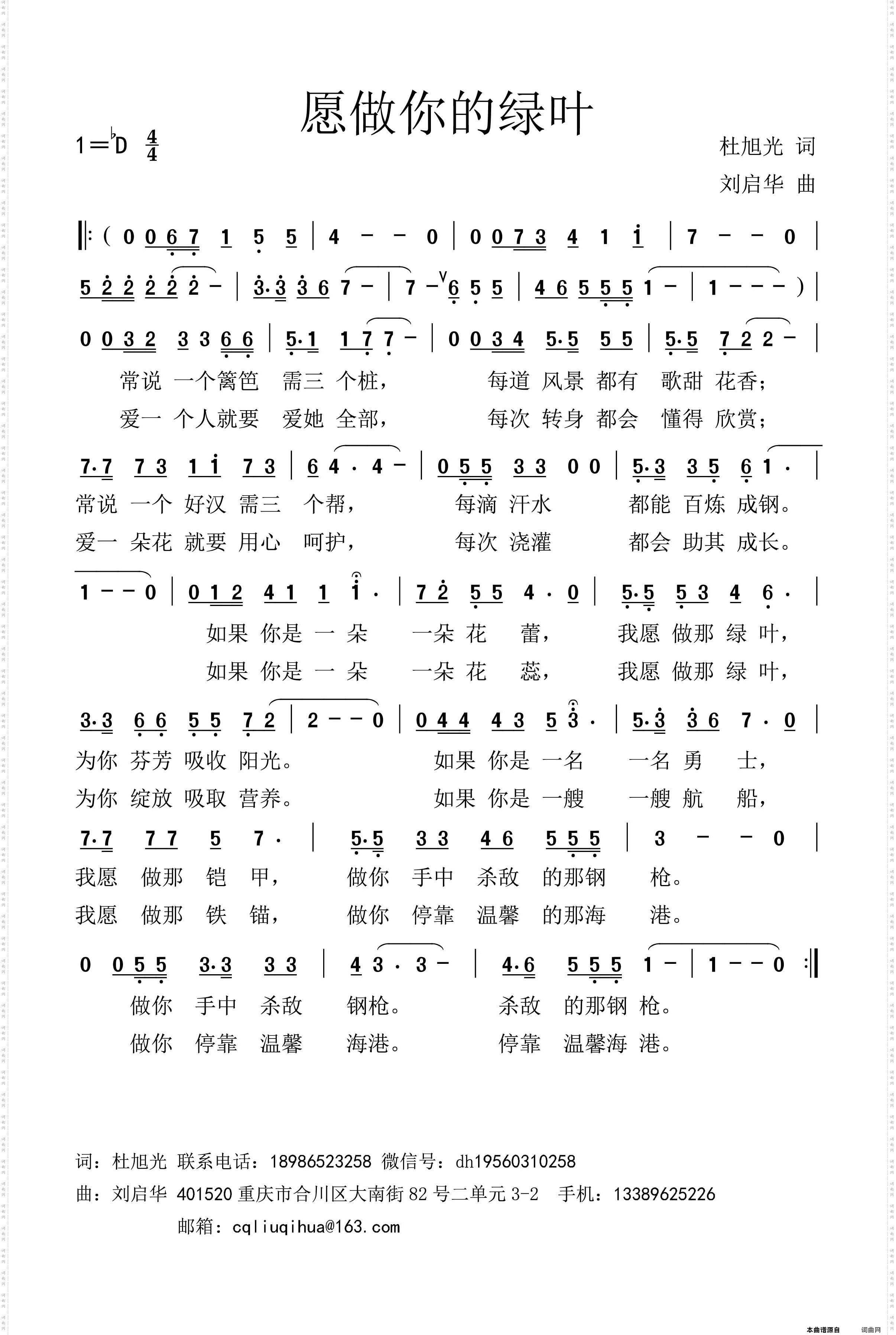 愿做你的绿叶