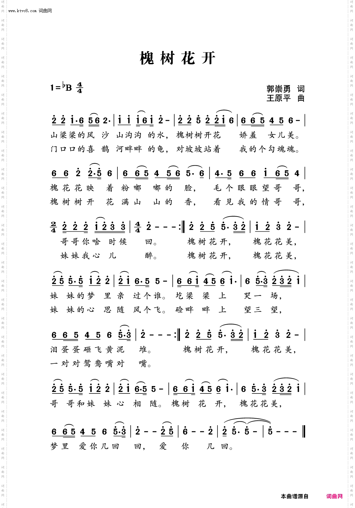 槐树花开
