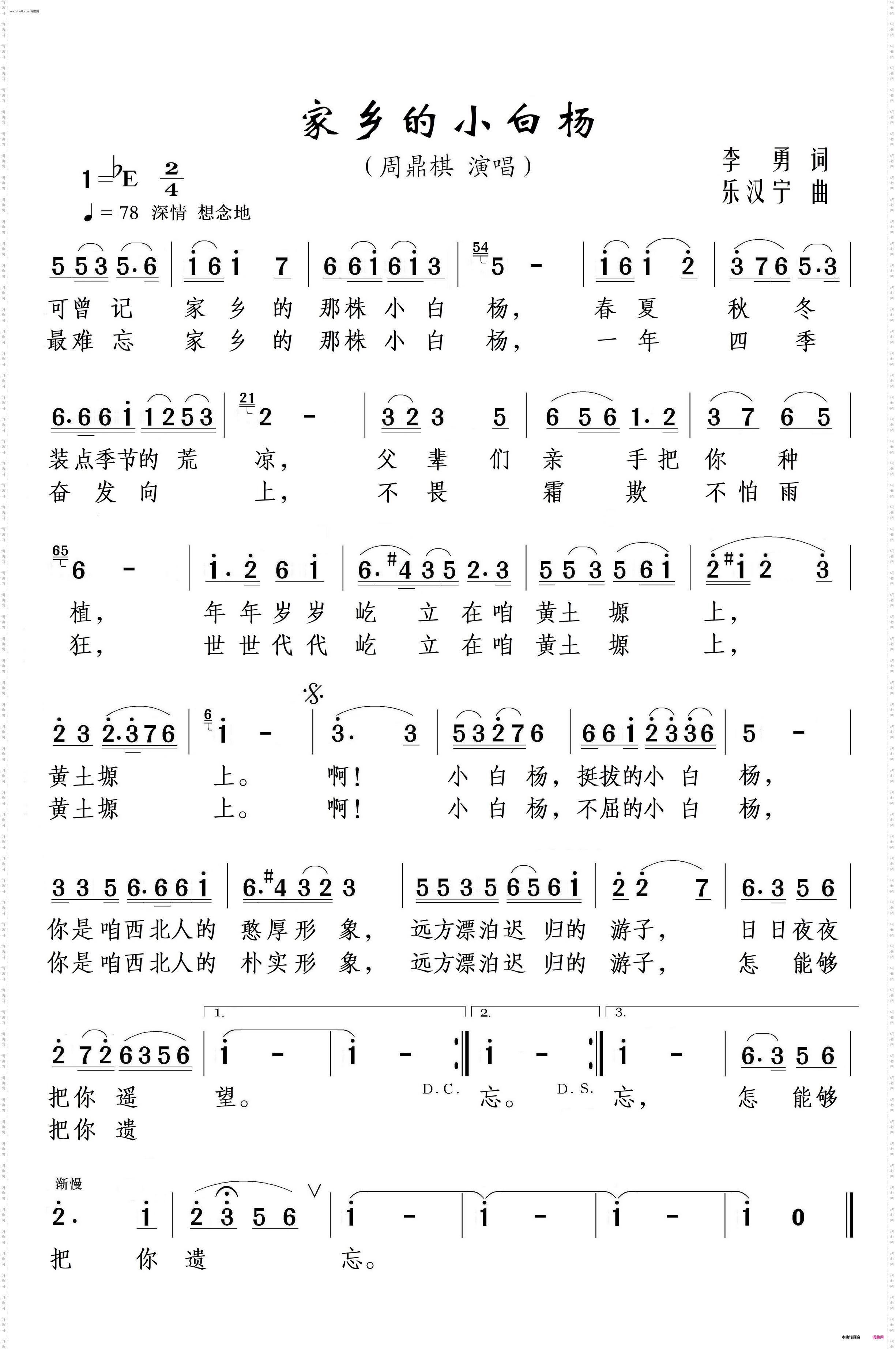 家乡的小白杨