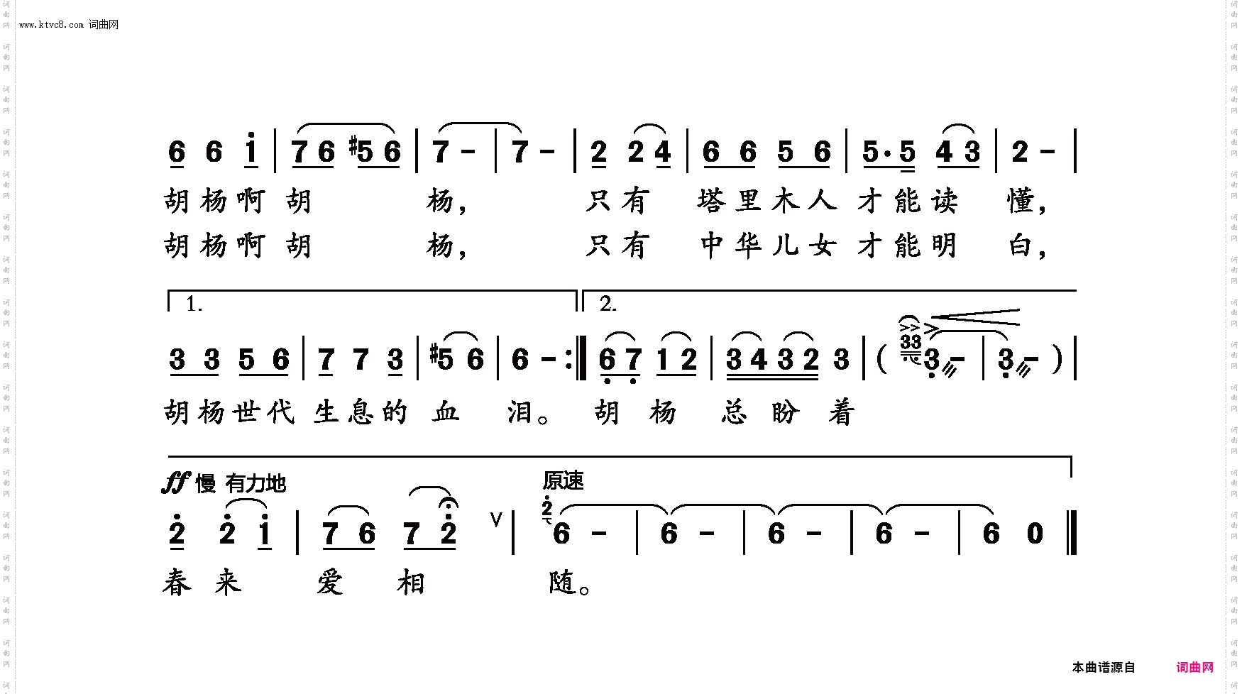 胡杨啊胡杨