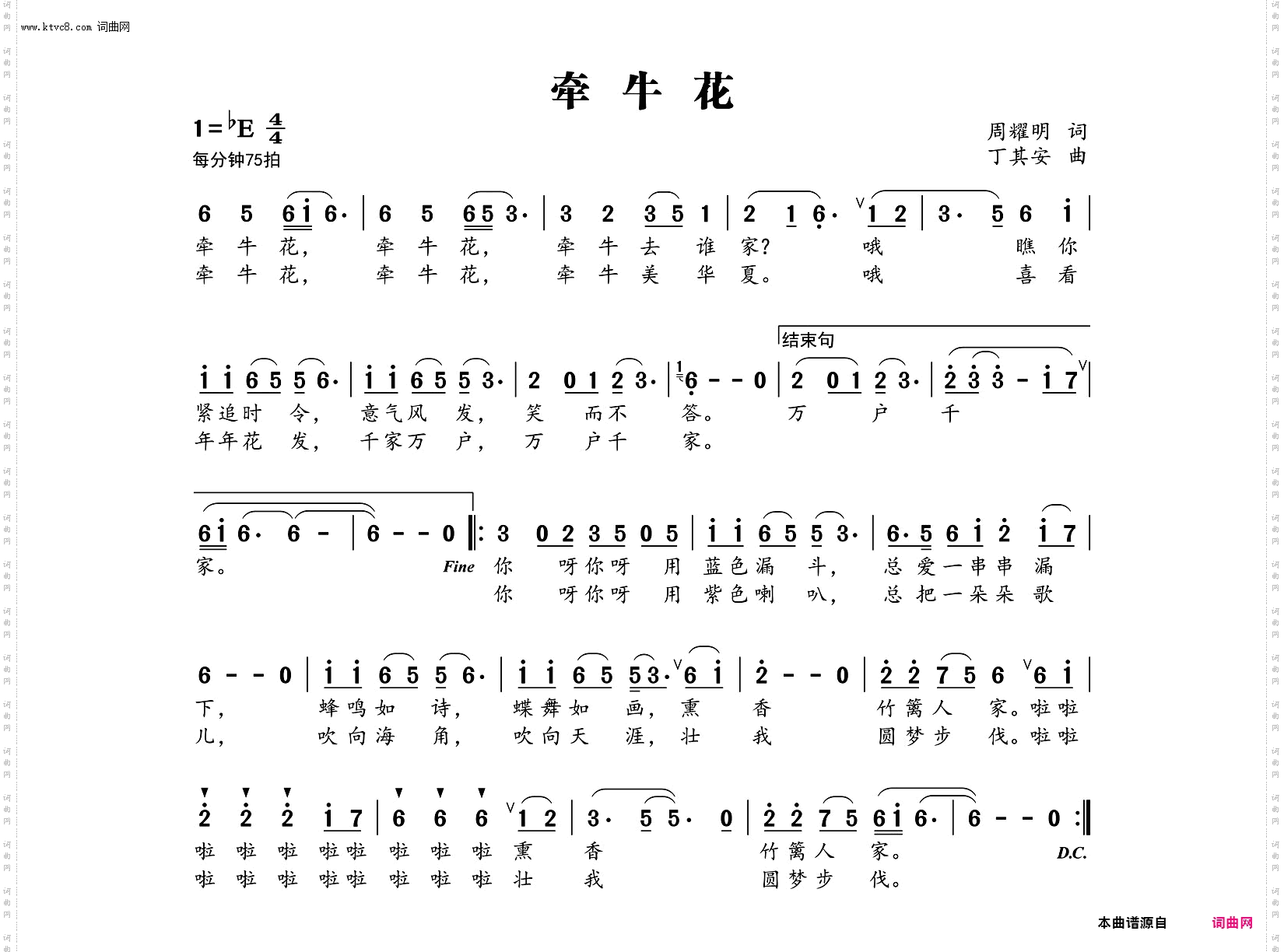 牵牛花