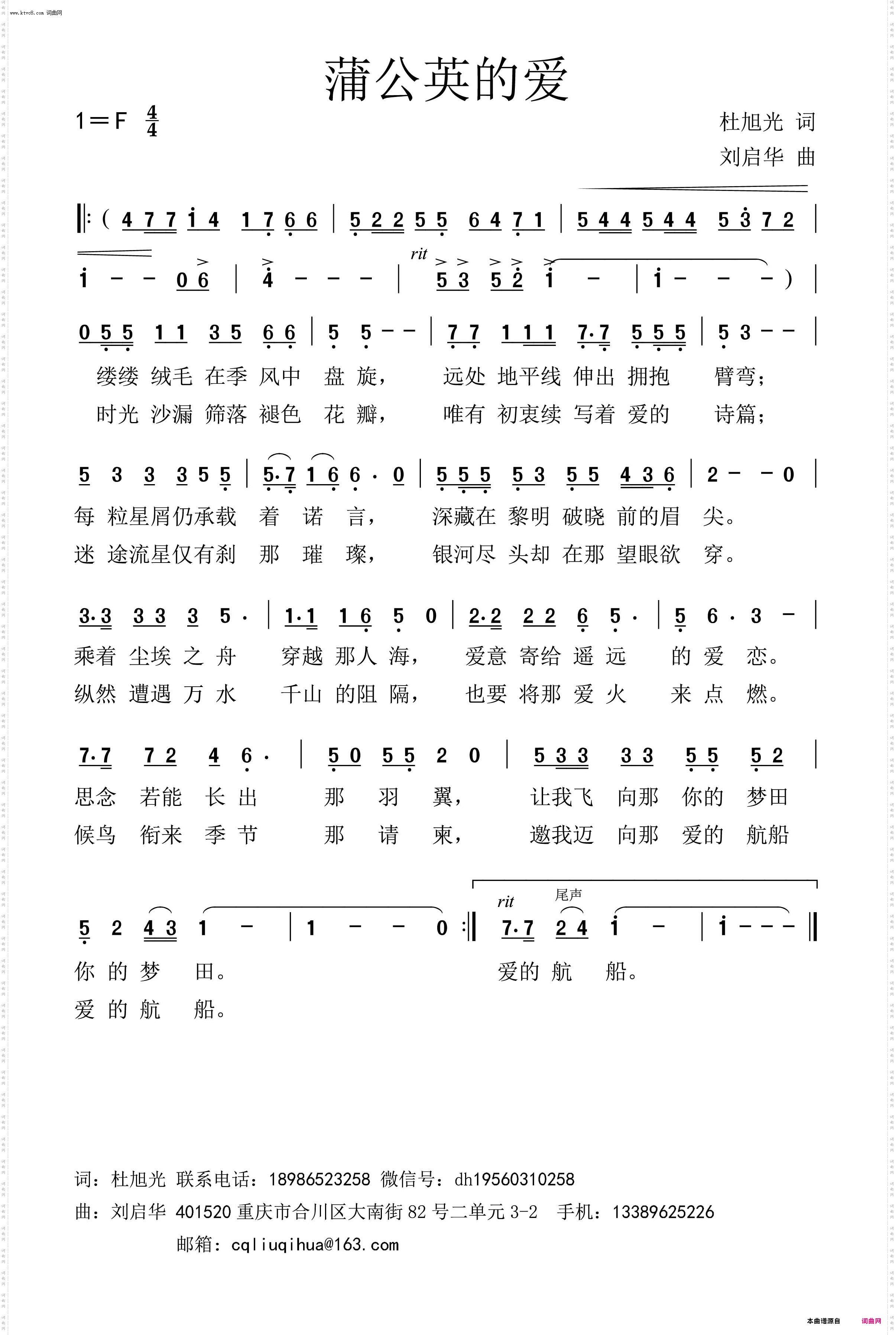 蒲公英的爱