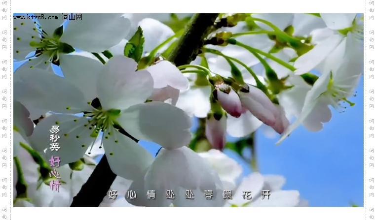 好心情